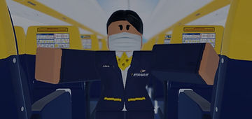 HealthyFlyingLogo_edited_edited.jpg
